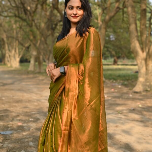 Tishu Khadi Handloom Saree With B.P.