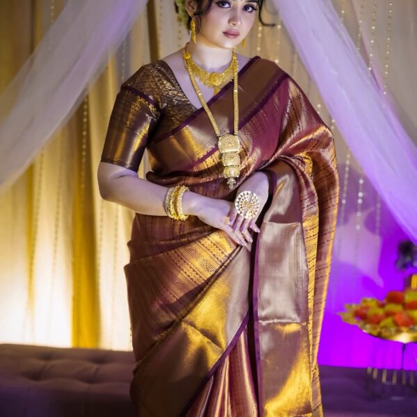 Kanchipuram Tishu Silk Saree With B.P.