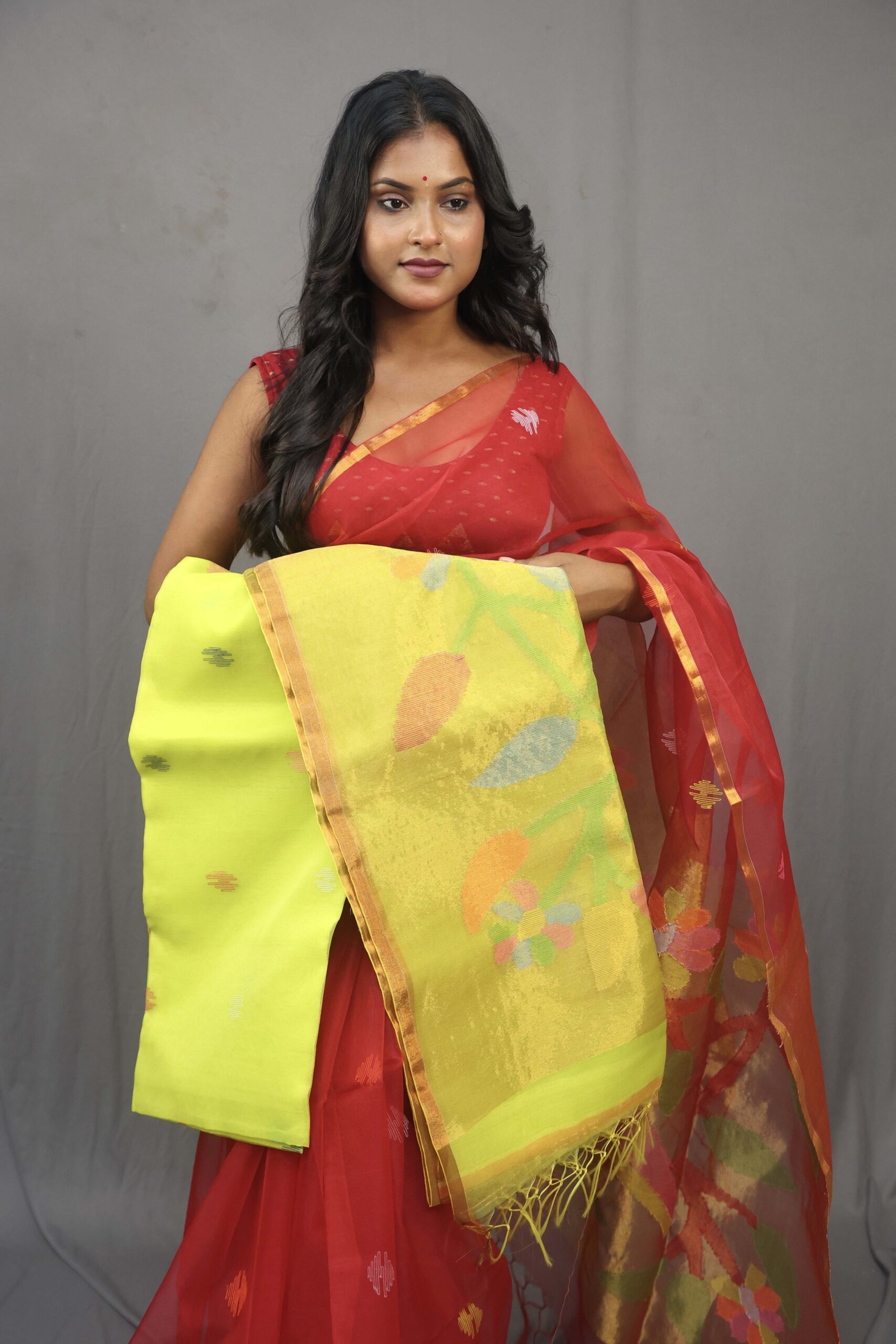 B Allover Moslin Bird Pallu Saree With B.P. - Image 1