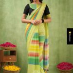 Pastel Multicolor Checks Mul Cotton Saree With Designer Tassel Pallu.